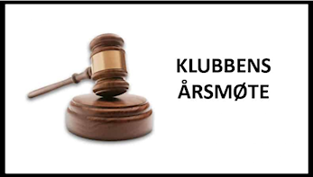 Sakspapirer til årsmøtet